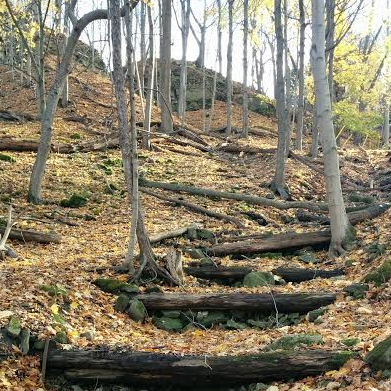 Path through the woods and up a rise