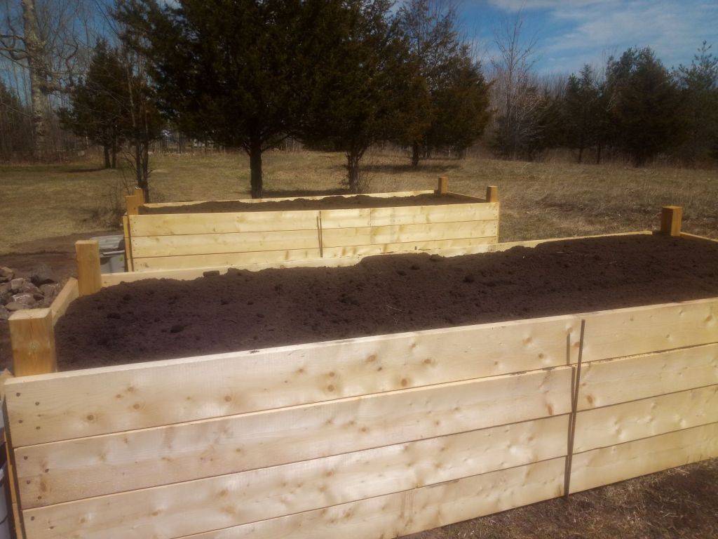 Two raised garden beds full of soil
