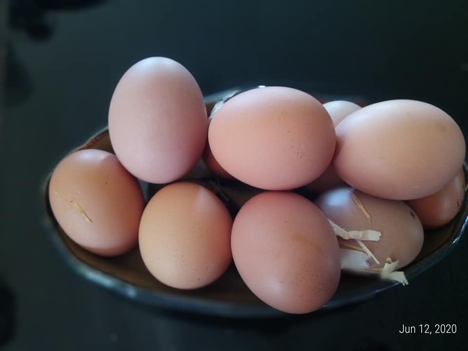 Stack of brown chicken eggs