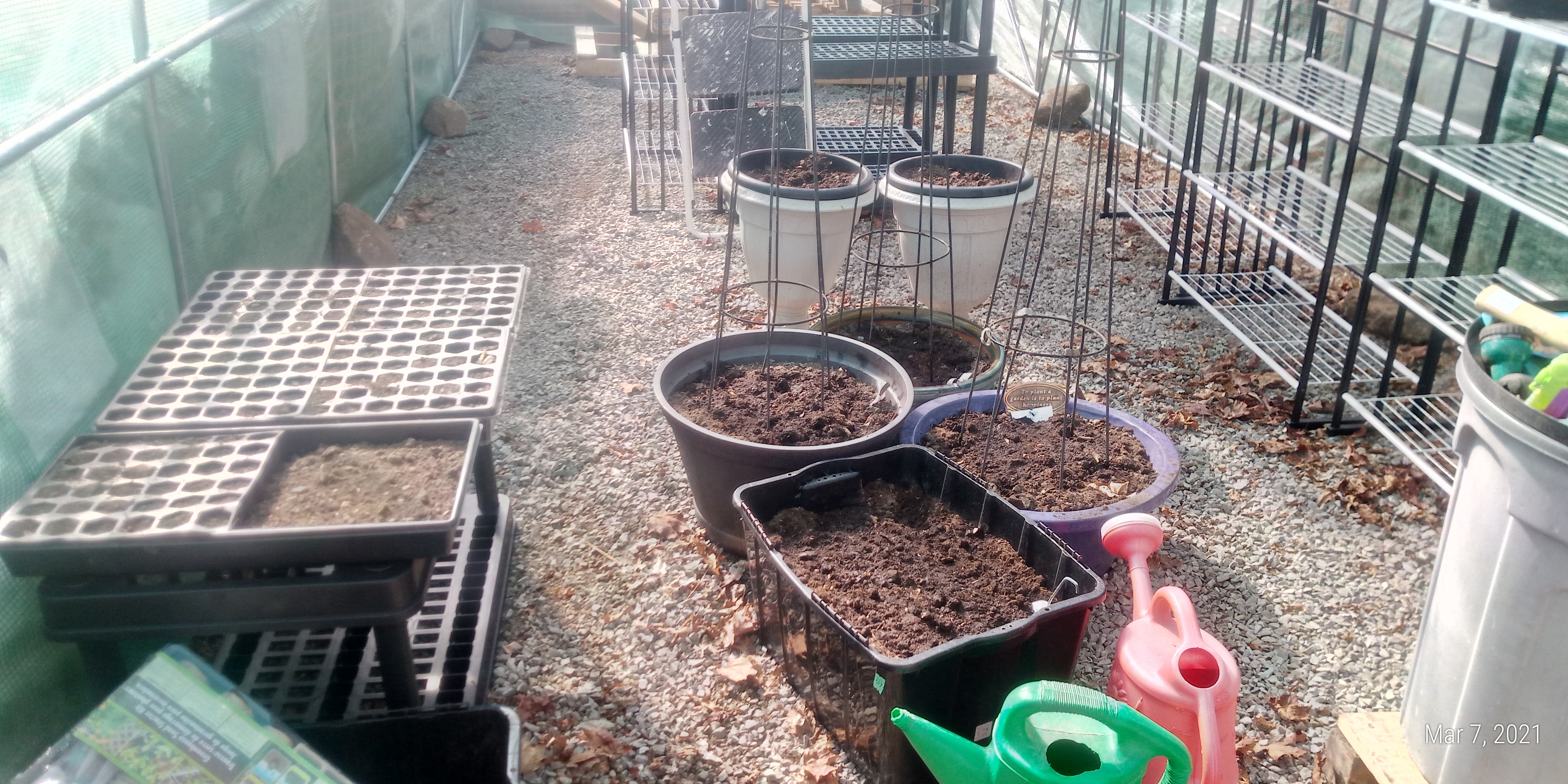 Inside the greenhouse